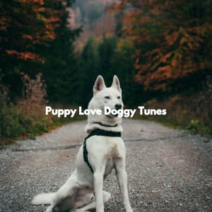 Puppy Love Doggy Tunes - Musica para Perros
