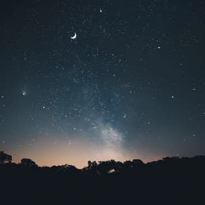 Descanso Profundo: Música Para Noches Tranquilas - Flujo Zen Silenciosa