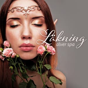 Läkning alver spa: Stjärnans tystnad, Lugnande jorden ballad, Mystisk fred, Dimmig fristad - Lugn Spa Akademi