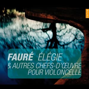 Faure: Élégie et autres chefs-d'oeuvres pour violoncelle - Anne Gastinel