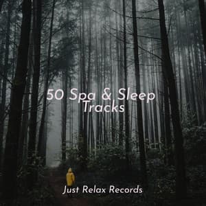 50 Spa & Sleep Tracks - Ambient