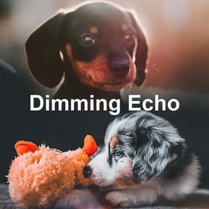 Dimming Echo - Natural Dream Makers