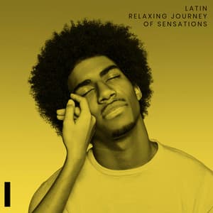Latin Relaxing Journey of Sensations - Cuban Lounge, Latin Chill Out Session - Cuban Latin Collection