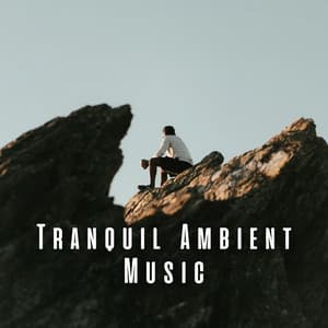 Tranquil Ambient Music - Joyful Harmony Music
