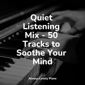 50 Tracks for Your Relaxation - Piano Bar