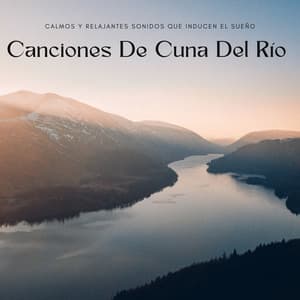 Canciones De Cuna Del Río: Calmos Y Relajantes Sonidos Que Inducen El Sueño - Los durmientes de agua