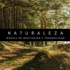 Naturaleza: Música De Meditación y Tranquilidad - Música Instrumental Maestro