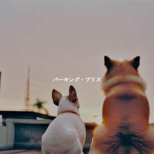 バーキング・ブリス - Jazz Romance