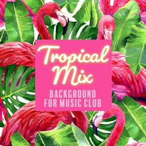 Tropical Mix: Background for Music Club, Dance Party all Night - Cafe Latino Dance Club