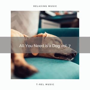 2021 New: All You Need is a Dog vol. 7 - Music for Pets Library