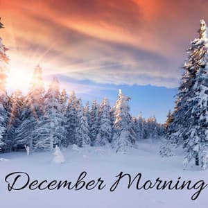 December Morning - Sleep Tight