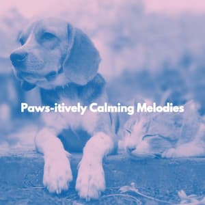 Paws-itively Calming Melodies - Elevator Music All-Stars