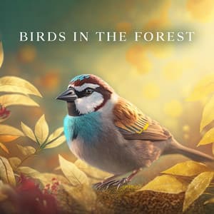 Birds In The Forest: The Best Sounds From Nature For A Deeply Relaxing Ambience - Total Nature Relaxation