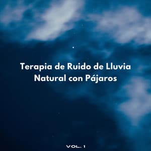 Terapia De Ruido De Lluvia Natural Con Pájaros Vol. 1 - Sonidos de lluvia y ruido de fondo