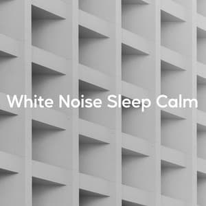 White Noise Sleep Calm - Atmosphere Asmr