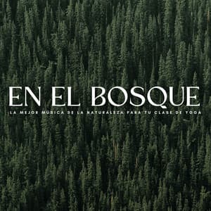 En El Bosque: La Mejor Música De La Naturaleza Para Tu Clase De Yoga - Grabaciones de la naturaleza