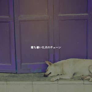 落ち着いた犬のチューン - Relaxing Bossa Nova Collective