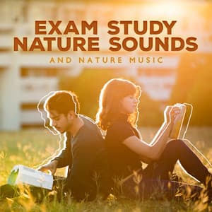 Exam Study Nature Sounds and Nature Music: Concentration and Focus on Learning Increase Brain Power, Natural Study Music for Relaxation - Sleep & Dream Music Academy