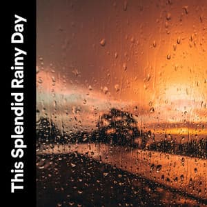 This Splendid Rainy Day - 24H Rain Sounds