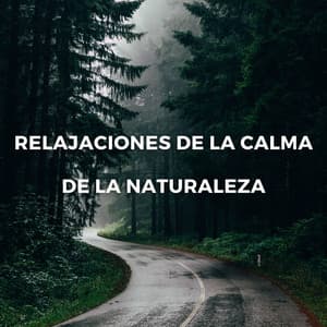 Serenidad En El Retiro De La Montaña: Relajaciones De La Calma De La Naturaleza - In Sonus 360