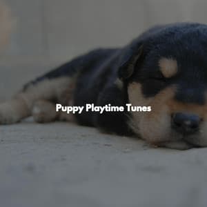 Puppy Playtime Tunes - Restaurante de Musica de Lujo
