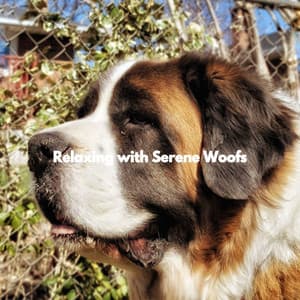 Relaxing with Serene Woofs - Dog Music Zone