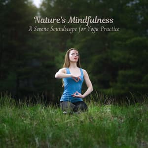 Nature's Mindfulness: A Serene Soundscape for Yoga Practice - Yoga Solitude