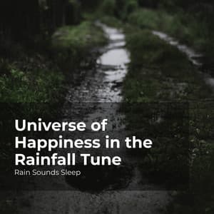Universe of Happiness in the Rainfall Tune - Rain Sounds Sleep