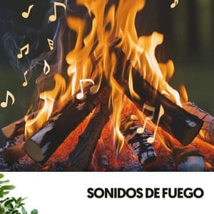 Sonidos de Fuego: Melodías ardientes - Relajacion
