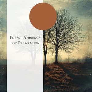 Forest Ambience for Relaxation - Natural Forest FX