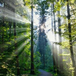 10 Hours White Noise: Quiet Echoes - White Noise for Babies