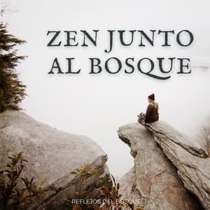 Zen Junto Al Bosque: Reflejos Del Bosque - Calma ASMR White Soughs