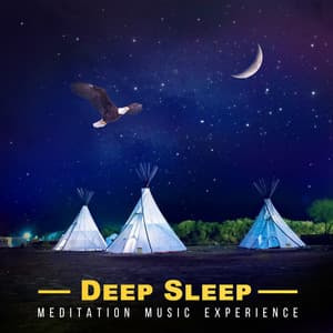 Deep Sleep Meditation Music Experience: Balance, Relax Mind & Spirit, Serenity, Study Focus, Liquid Bliss, Reflections of Dreams, Lullaby Ambience - Liquid Life Oasis