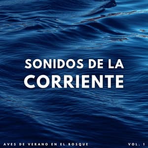 Sonidos De La Corriente: Aves De Verano En El Bosque Vol. 1 - Proyecto Naturaleza Ambiental