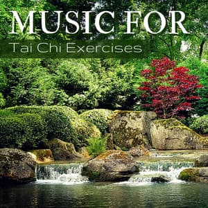 Music for Tai Chi Exercises - Relaxing Instrumental Music for Deep Meditation Journey - Tai Chi Chuan