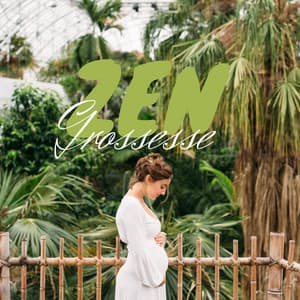 Grossesse zen: Pratique de la méditation pour les femmes enceintes, Calme profond, Hypnobirthing - Zen Matin Groupe