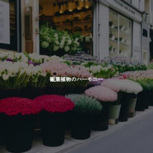 観葉植物のハーモニー - Chill Jazz Vibes