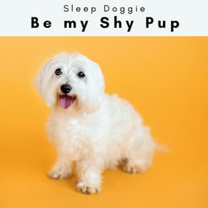 4 Paws: Be my Shy Pup - Sleep Doggie