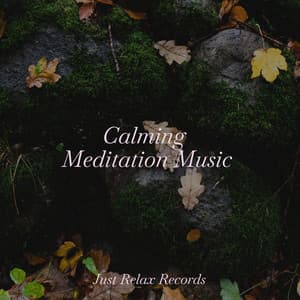 Calming Meditation Music - Yoga Namaste