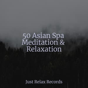 50 Asian Spa Meditation & Relaxation - Guided Meditation