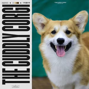 The Cuddly Corgi - Sounds Dogs Love