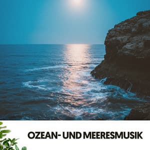 Ozean- und Meeresmusik: Sternenklare, faule Nächte - Relajacion