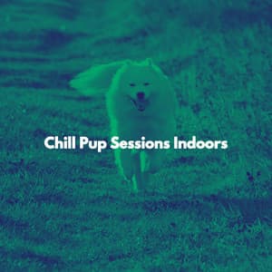 Chill Pup Sessions Indoors - Easy Jazz Bar Cafe