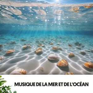 Sons de l'Océan et de la Mer : Sérénade des Vagues - Relajacion