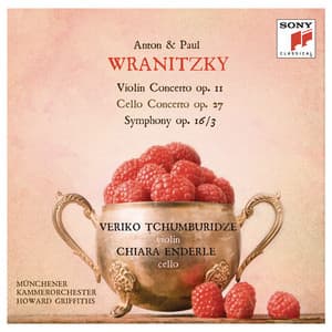 A. Wranitzky: Violin Concerto - P. Wranitzky: Cello Concerto & Symphony in D Major - Munich Chamber Orchestra