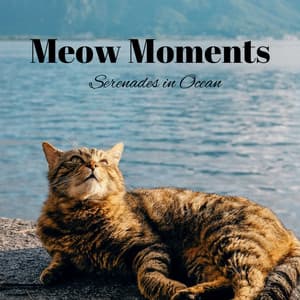 Meow Moments: Serenades in Ocean - Soothing Waves Of Nerja