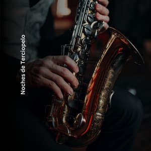 Noches de Terciopelo - Música de Fondo Colección