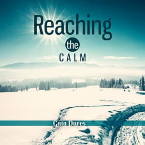 Reaching the Calm - Gaia Pures