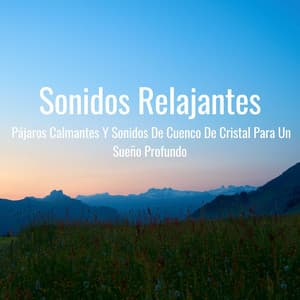 Sonidos Relajantes: Pájaros Calmantes Y Sonidos De Cuenco De Cristal Para Un Sueño Profundo - Pájaros de la noche