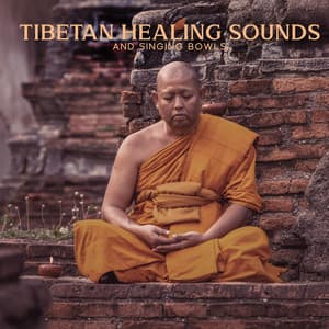 Tibetan Healing Sounds and Singing Bowls: Introspective Meditation, Body Scan Meditation, MBSR, Yoga, Sophrology, Zhanzhuang, Tibetan Morning - Buddha Music Sanctuary